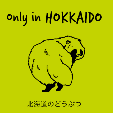 SHIKKAのブローチ。ONLY IN HOKKAIDOオンリーイン北海道、北海道に暮らす動物のブローチ。